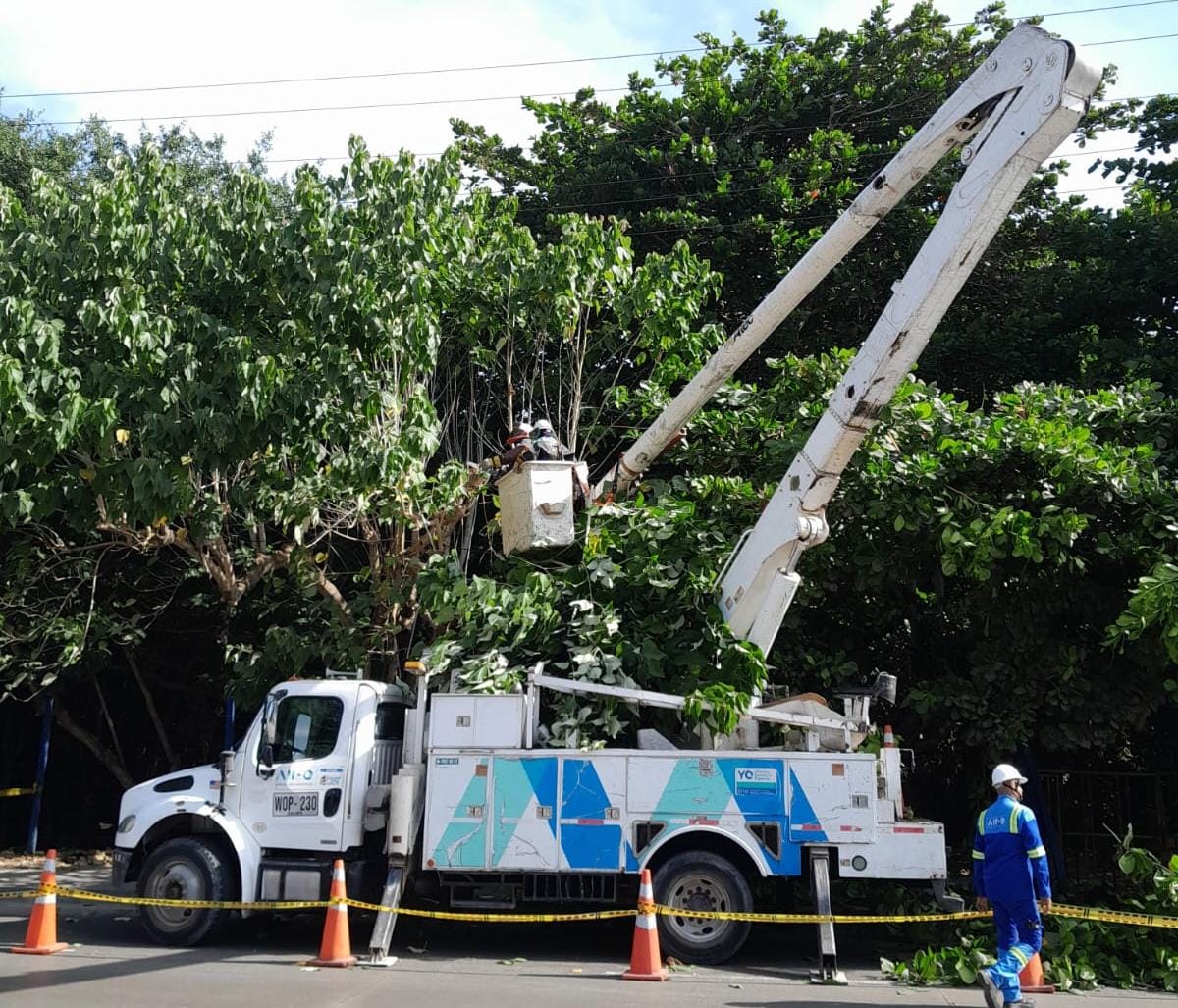 Trabajos eléctricos en el circuito San Isidro – Franja Noticias