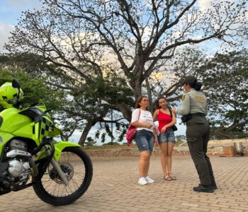 c783ea15-d44f-4e65-80cc-9b641e26c9cd