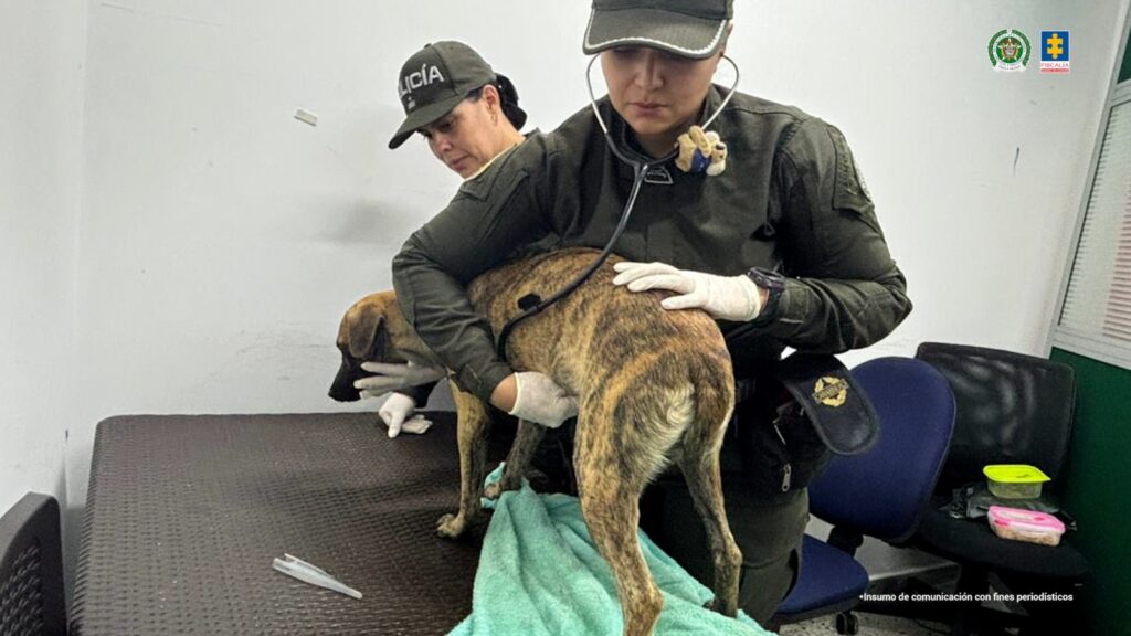 WhatsApp Image 2025-11-12 at 5.35.27 PM