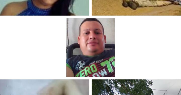 GridArt_20260302_145630808