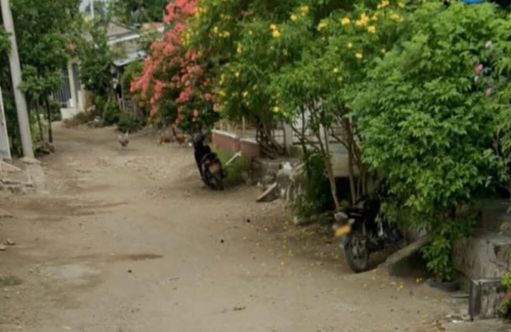 FB_IMG_1776817421765