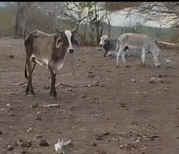 Screenshot_20260406_092849_WhatsAppBusiness