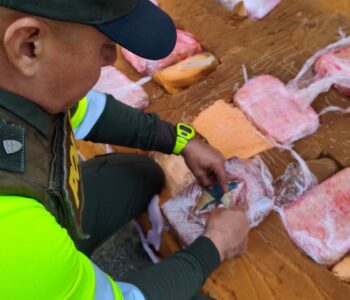 WhatsApp Image 2026-04-01 at 3.15.01 PM