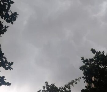 IMG-20260615-WA0028